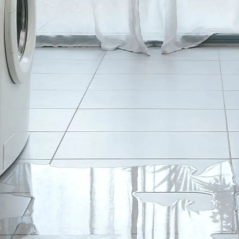Appliance Leak Cleanup in Lexington, MA