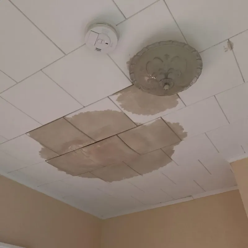 Ceiling Water Damage Repair in Lexington, MA