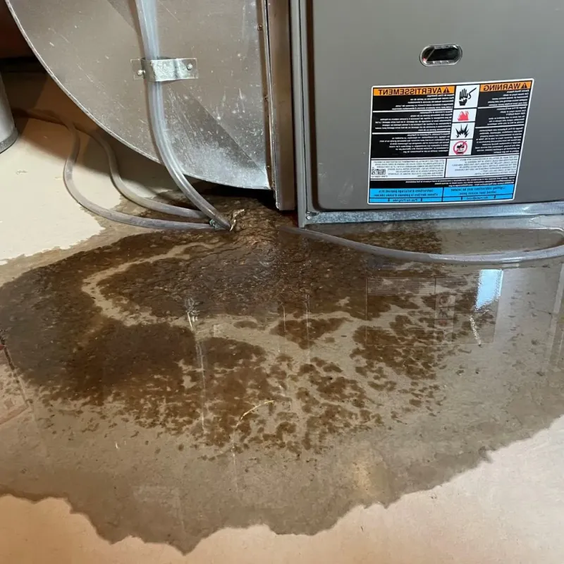 Pipe Burst and Leak Restoration in Lexington, MA